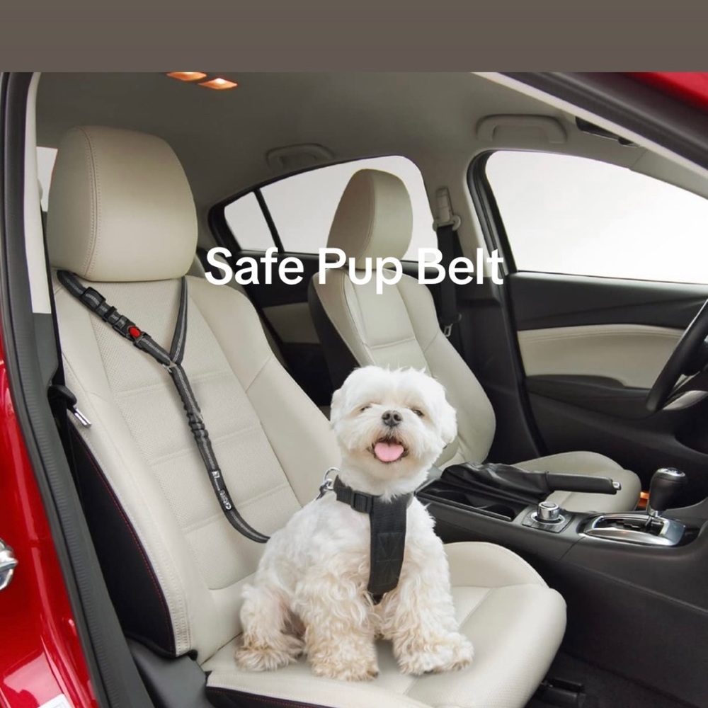 Dog safety belt!!